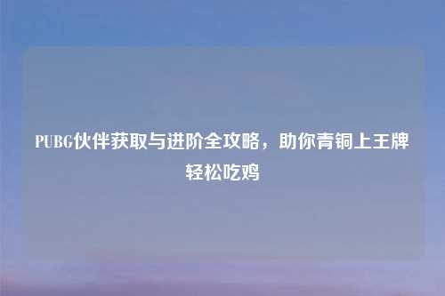 PUBG伙伴获取与进阶全攻略，助你青铜上王牌轻松吃鸡