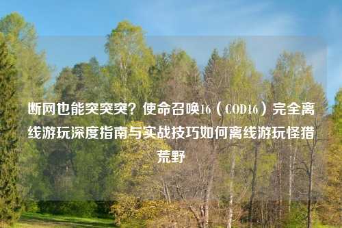 断网也能突突突？使命召唤16（COD16）完全离线游玩深度指南与实战技巧如何离线游玩怪猎荒野