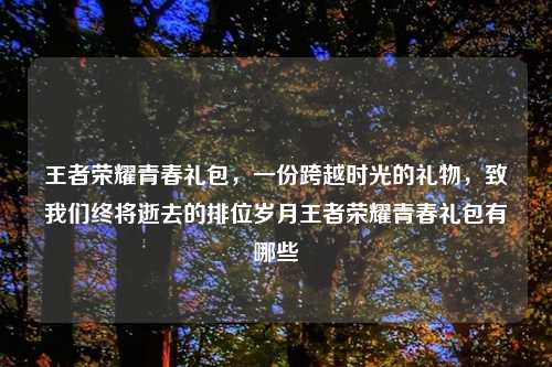 王者荣耀青春礼包，一份跨越时光的礼物，致我们终将逝去的排位岁月王者荣耀青春礼包有哪些