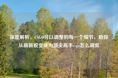 深度解析，CSGO可以调整的每一个细节，助你从萌新蜕变成为顶尖高手csgo怎么调低