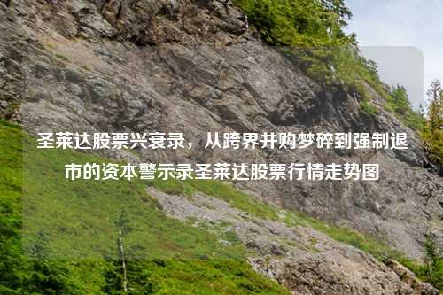 圣莱达股票兴衰录，从跨界并购梦碎到强制退市的资本警示录圣莱达股票行情走势图