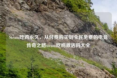 Steam吃鸡永久，从付费购买到全民免费的电竞传奇之路steam吃鸡激活码大全