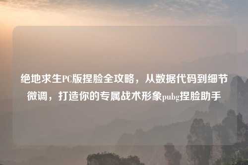 绝地求生PC版捏脸全攻略，从数据代码到细节微调，打造你的专属战术形象pubg捏脸助手