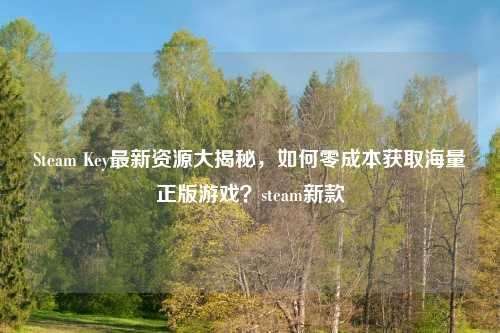 Steam Key最新资源大揭秘，如何零成本获取海量正版游戏？steam新款