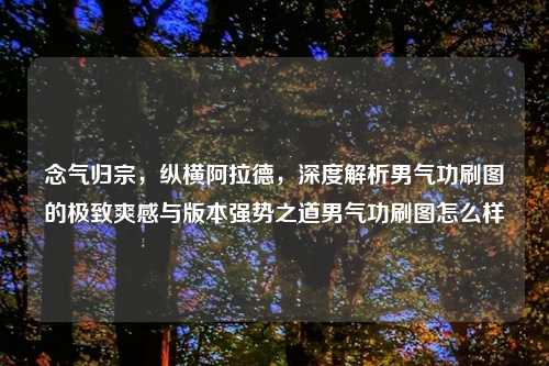 念气归宗，纵横阿拉德，深度解析男气功刷图的极致爽感与版本强势之道男气功刷图怎么样