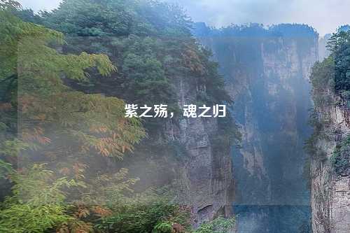 紫之殇，魂之归