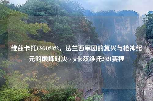 维兹卡托CSGO2022，法兰西军团的复兴与枪神纪元的巅峰对决csgo卡兹维托2021赛程