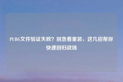 PUBG文件验证失败？别急着重装，这几招帮你快速回归战场