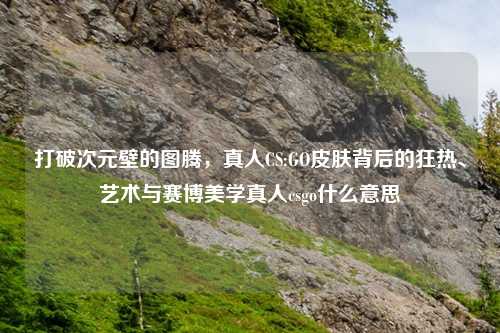 打破次元壁的图腾，真人CS:GO皮肤背后的狂热、艺术与赛博美学真人csgo什么意思