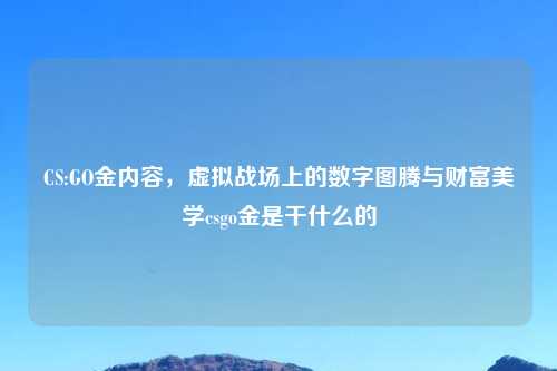 CS:GO金内容，虚拟战场上的数字图腾与财富美学csgo金是干什么的