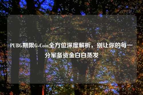 PUBG期限G-Coin全方位深度解析，别让你的每一分军备资金白白蒸发