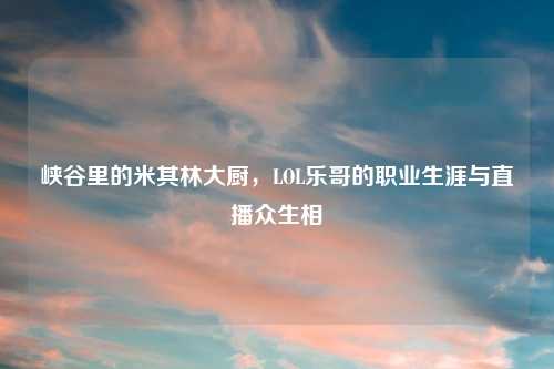 峡谷里的米其林大厨，LOL乐哥的职业生涯与直播众生相