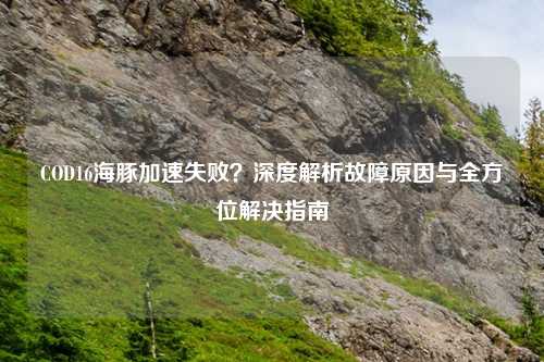 COD16海豚加速失败？深度解析故障原因与全方位解决指南
