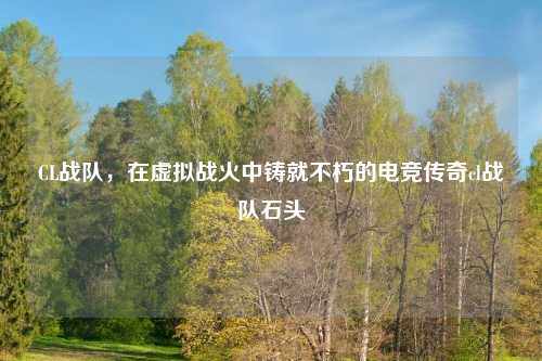 CL战队，在虚拟战火中铸就不朽的电竞传奇cl战队石头