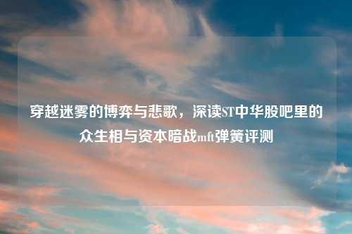 穿越迷雾的博弈与悲歌,深读ST中华股吧里的众生相与资本暗战mft弹簧评测