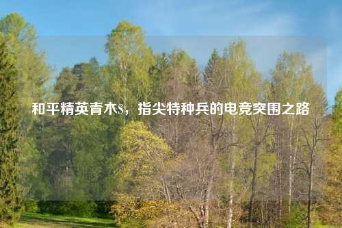 和平精英青木S，指尖特种兵的电竞突围之路
