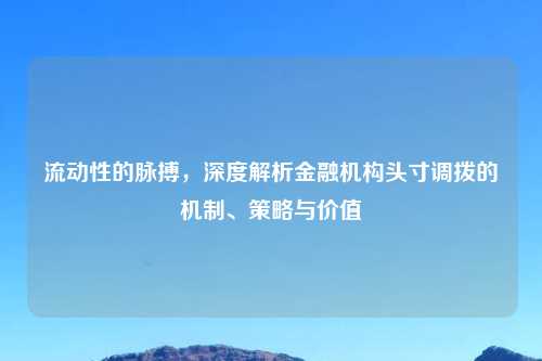流动性的脉搏,深度解析金融机构头寸调拨的机制、策略与价值