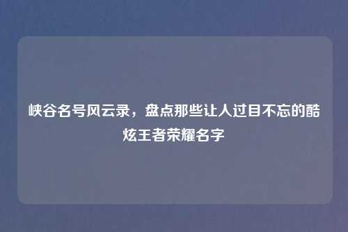 峡谷名号风云录，盘点那些让人过目不忘的酷炫王者荣耀名字