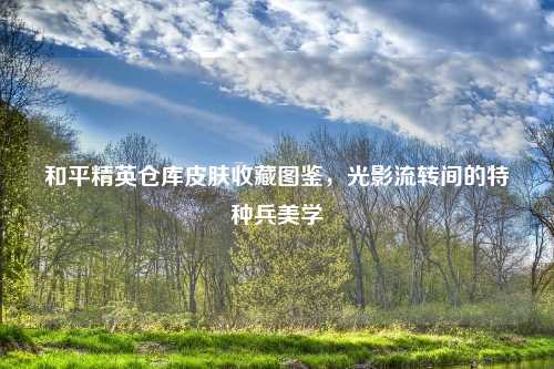 和平精英仓库皮肤收藏图鉴，光影流转间的特种兵美学