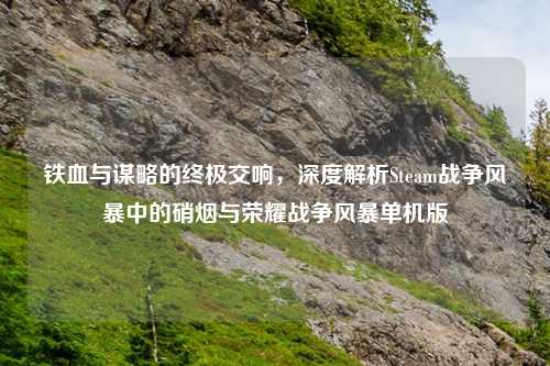 铁血与谋略的终极交响，深度解析Steam战争风暴中的硝烟与荣耀战争风暴单机版