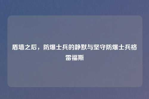 盾墙之后，防爆士兵的静默与坚守防爆士兵格雷福斯