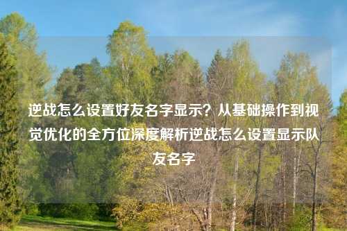 逆战怎么设置好友名字显示?从基础操作到视觉优化的全方位深度解析逆战怎么设置显示队友名字