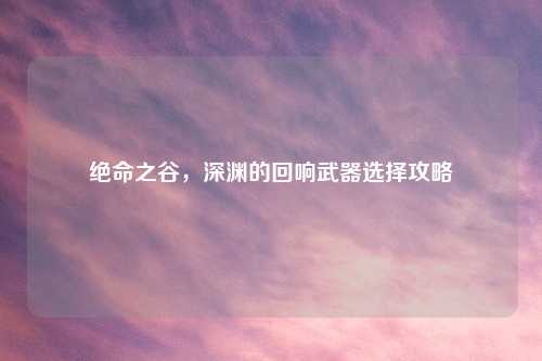绝命之谷，深渊的回响武器选择攻略