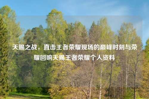 天赐之战，直击王者荣耀现场的巅峰时刻与荣耀回响天赐王者荣耀个人资料