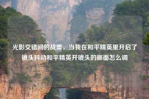 光影交错间的战栗，当我在和平精英里开启了镜头抖动和平精英开镜头的画面怎么调