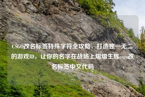 CSGO改名标签特殊字符全攻略,打造独一无二的游戏ID,让你的名字在战场上熠熠生辉csgo改名标签中文代码