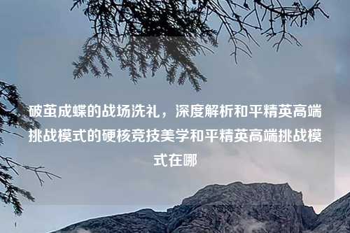 破茧成蝶的战场洗礼，深度解析和平精英高端挑战模式的硬核竞技美学和平精英高端挑战模式在哪