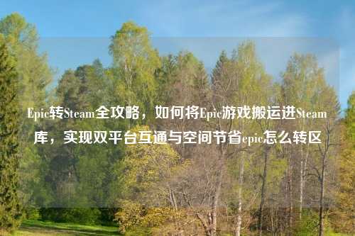 Epic转Steam全攻略，如何将Epic游戏搬运进Steam库，实现双平台互通与空间节省epic怎么转区