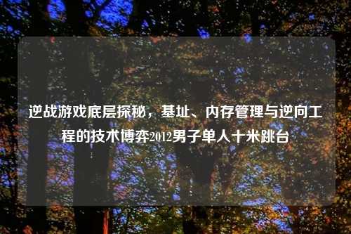 逆战游戏底层探秘，基址、内存管理与逆向工程的技术博弈2012男子单人十米跳台
