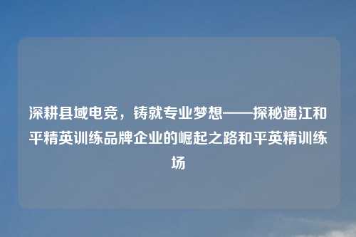 深耕县域电竞，铸就专业梦想——探秘通江和平精英训练品牌企业的崛起之路和平英精训练场