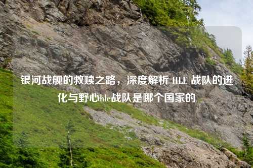 银河战舰的救赎之路，深度解析 HLE 战队的进化与野心hle战队是哪个国家的