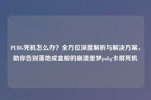 PUBG死机怎么办？全方位深度解析与解决方案，助你告别落地成盒般的崩溃噩梦pubg卡屏死机