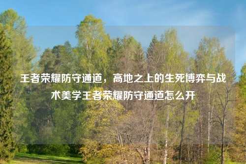 王者荣耀防守通道，高地之上的生死博弈与战术美学王者荣耀防守通道怎么开
