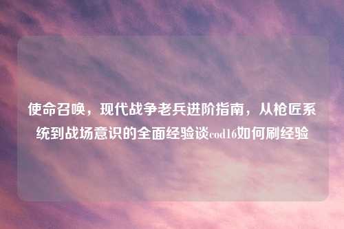使命召唤，现代战争老兵进阶指南，从枪匠系统到战场意识的全面经验谈cod16如何刷经验