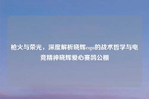 枪火与荣光，深度解析晓辉csgo的战术哲学与电竞精神晓辉爱心赛鸽公棚
