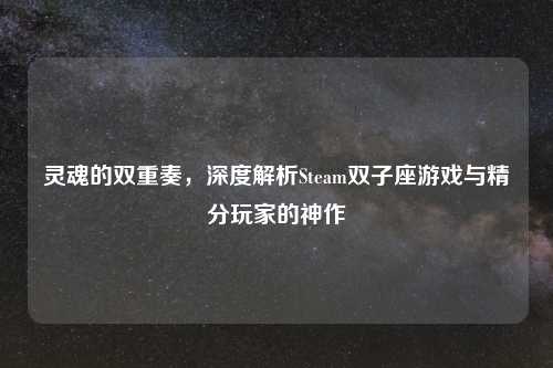 灵魂的双重奏，深度解析Steam双子座游戏与精分玩家的神作