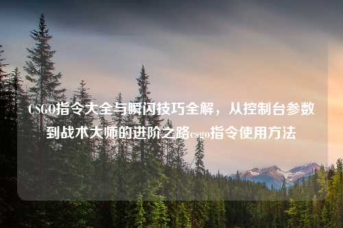 CSGO指令大全与瞬闪技巧全解，从控制台参数到战术大师的进阶之路csgo指令使用     