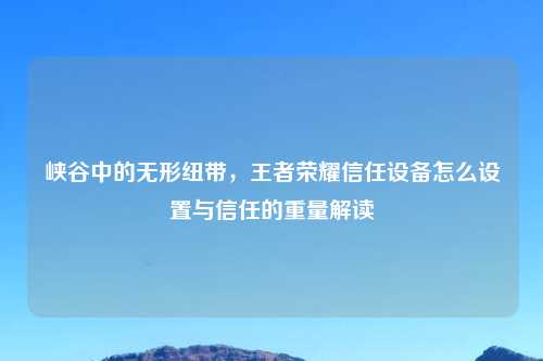 峡谷中的无形纽带，王者荣耀信任设备怎么设置与信任的重量解读