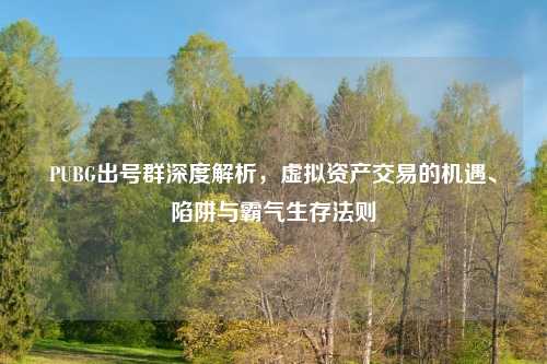PUBG出号群深度解析，虚拟资产交易的机遇、陷阱与霸气生存法则
