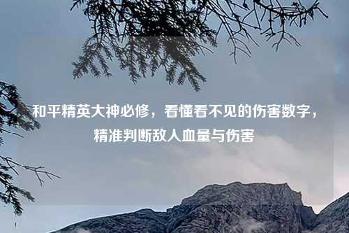 和平精英大神必修，看懂看不见的伤害数字，精准判断敌人血量与伤害