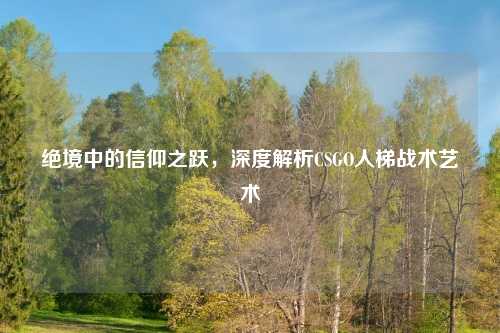 绝境中的信仰之跃，深度解析CSGO人梯战术艺术