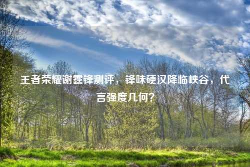 王者荣耀谢霆锋测评，锋味硬汉降临峡谷，代言强度几何？