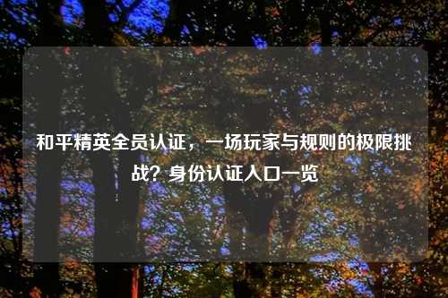 和平精英全员认证，一场玩家与规则的极限挑战？身份认证入口一览