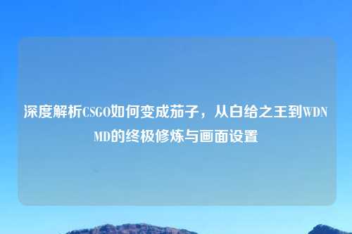 深度解析CSGO如何变成茄子，从白给之王到WDNMD的终极修炼与画面设置