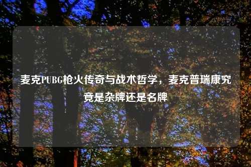 麦克PUBG枪火传奇与战术哲学，麦克普瑞康究竟是杂牌还是名牌