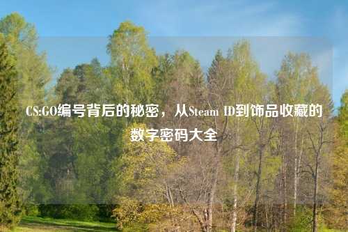 CS:GO编号背后的秘密，从Steam ID到饰品收藏的数字密码大全